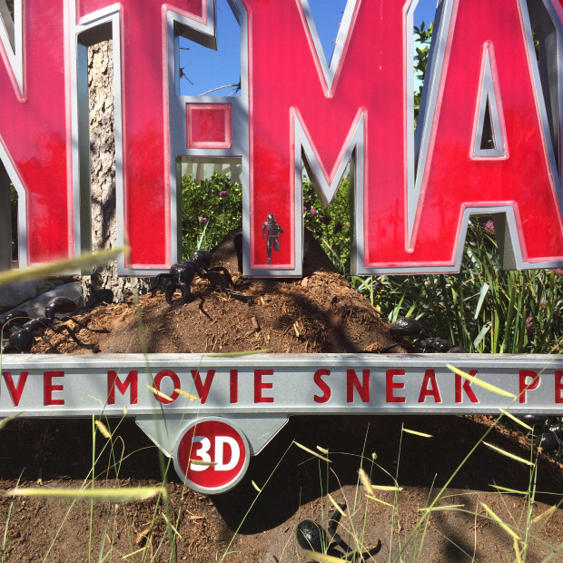 Ant-Man-Sign-Ants