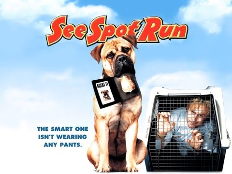 watch see spot run online free megavideo